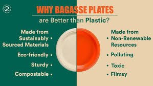 Bagasse products